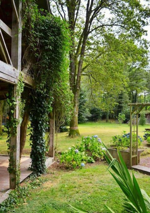 Chalet Cosy Au Coeur De La Foret De Broceliande Beignon Esterno foto
